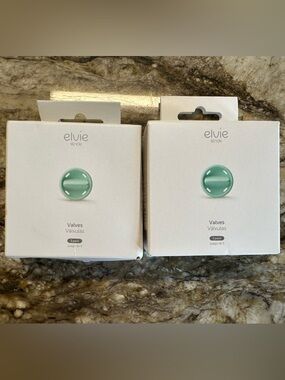 Stride Replacement Valves